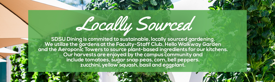 Locally sourced. SDSU Dining is commited to sustainable, locally sourced gardening. We utilize the gardens at the Faculty-Staff Club, Hello Walkway Garden and the Aeroponic Towers to source plant-based ingredients to our kitchens. Our harvests are enjoyed by the campus community and include tomatoes, sugar snap peas, corn, bell peppers, zucchini, yellow squash, basil and eggplant.